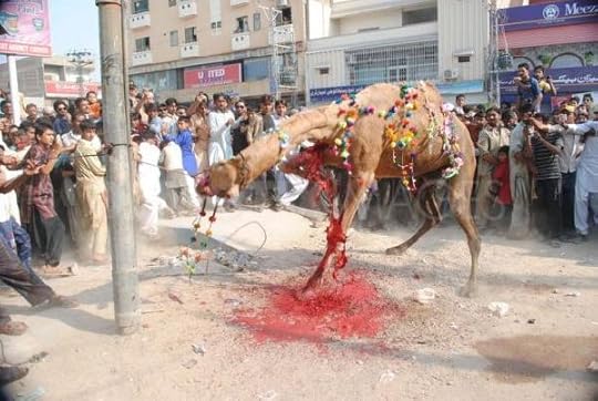animal sacrifice8