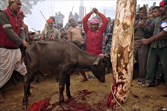 animal_sacrifice6