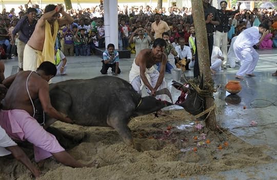 animal-sacrifice-by-hindus2