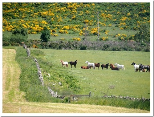 10 July 1 09-07-2013 11-27-13