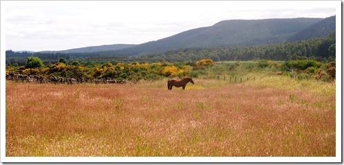 10 July 2 09-07-2013 11-31-44