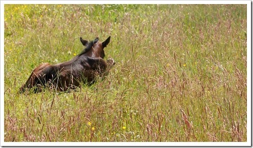 10 July 3 09-07-2013 11-33-20