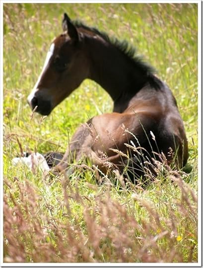 10 July 5 09-07-2013 11-33-39