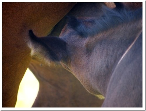 10 July 6 09-07-2013 11-37-16