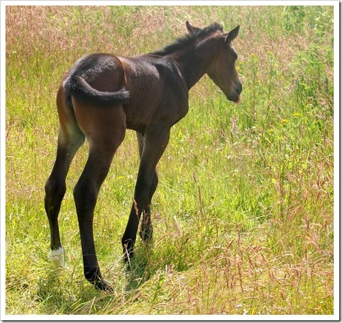 10 July 7 09-07-2013 11-48-25