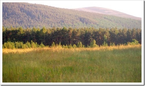 10 July 10 07-07-2013 18-26-09