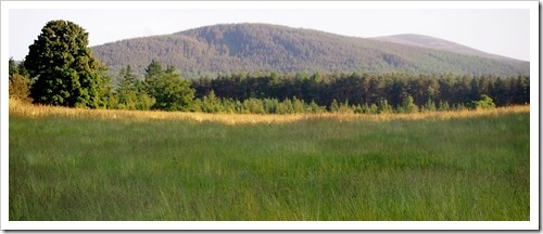 10 July 10 07-07-2013 18-26-23