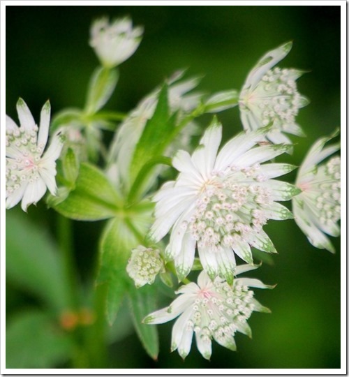 10 July 12 03-07-2013 11-39-21