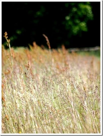 10 July 12 06-07-2013 11-12-12