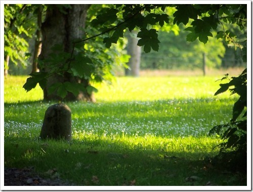 10 July 12 07-07-2013 18-29-39