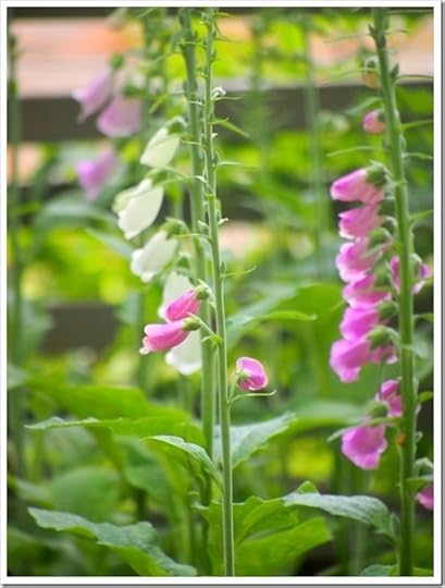 10 July 13 03-07-2013 11-41-54