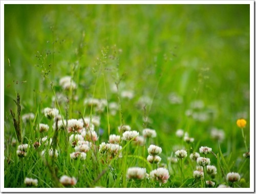 10 July 14 02-07-2013 13-39-07