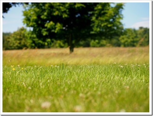 10 July 14 06-07-2013 11-13-41