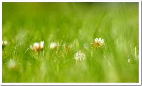 10 July 14 06-07-2013 11-15-44