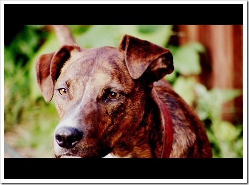 10 July 14 07-07-2013 18-22-03