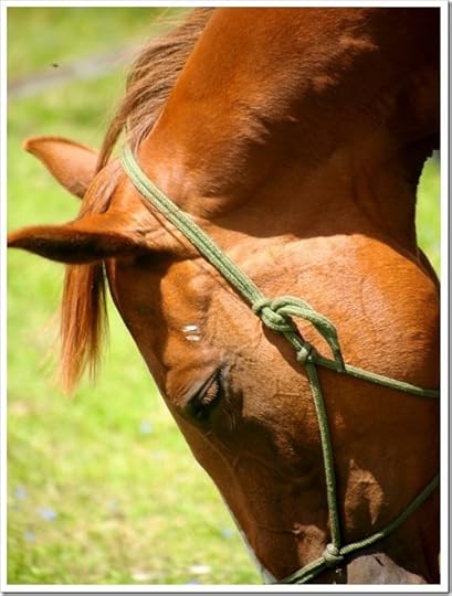 10 July 15 09-07-2013 12-25-44