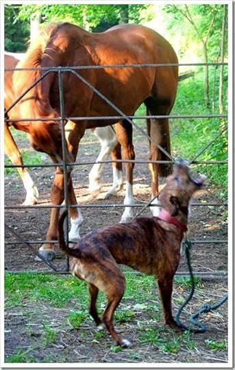 10 July 16 07-07-2013 18-20-22