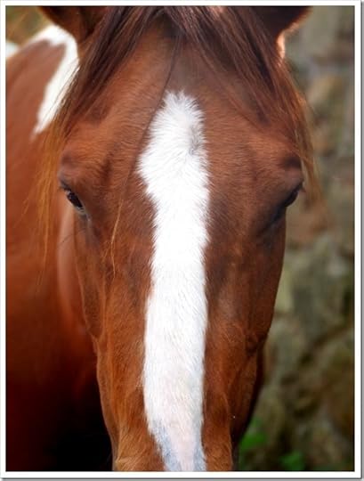 10 July 16 16-06-2013 09-52-58