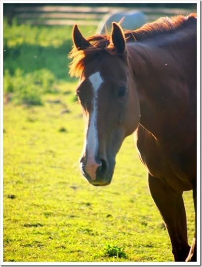 10 July 17 07-07-2013 18-12-47