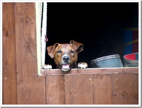 10 July 18 08-07-2013 14-48-06