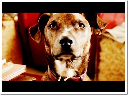 10 July 19 07-07-2013 15-37-48