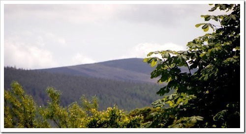 10 July 20 09-07-2013 12-30-51