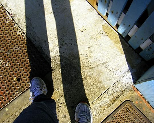 Long Shadows by Rosa Say