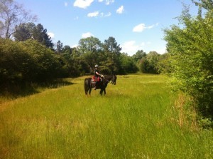 On the Trails at One Oak