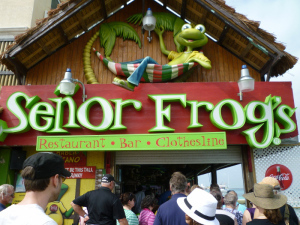 Senor Frog