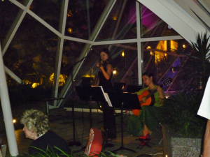 musicians