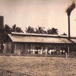A sugar mill.