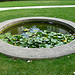 Renoir's garden