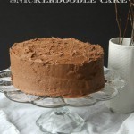 Chocolate Snickerdoodle Cake