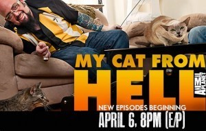 My_Cat_from_Hell_season_premiere