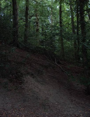 clip_image002