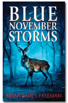 Blue November Storms Audiobook