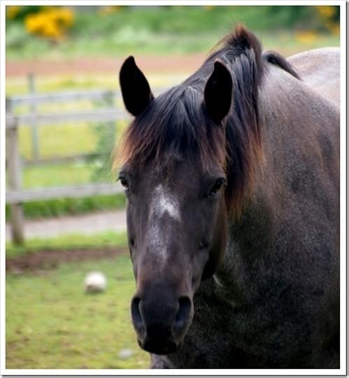 4 July 1 04-07-2013 10-11-03