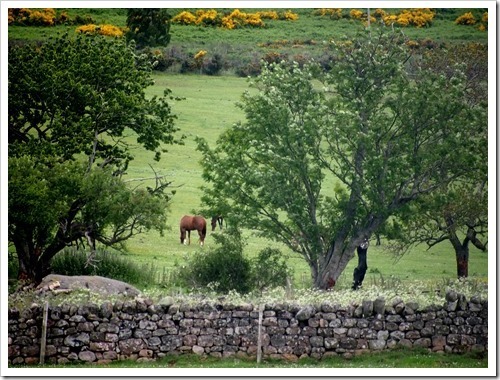 4 July 4 04-07-2013 10-19-32