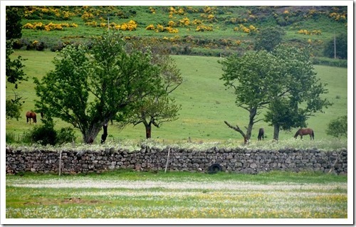 4 July 5 04-07-2013 10-19-36