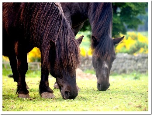 4 July 5 04-07-2013 10-20-28