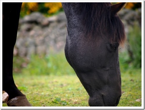 4 July 6 04-07-2013 10-21-13