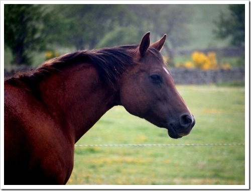 4 July 7 04-07-2013 10-40-17