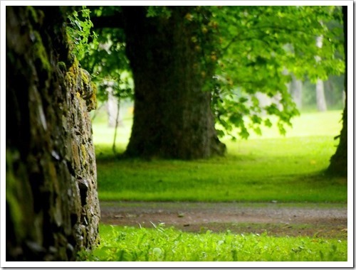 4 July 14 04-07-2013 10-49-10