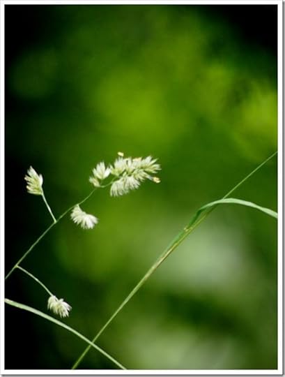 4 July 18 04-07-2013 10-50-20