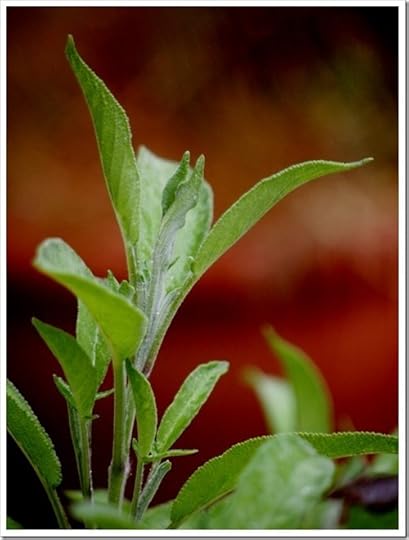 4 July 19 04-07-2013 10-51-44