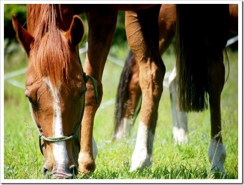 4 July 20 04-07-2013 12-27-42