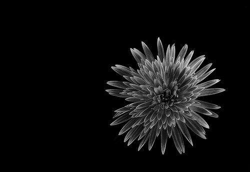 Bye 2012, Wish you a happy new year, 2013!! by "The Wanderer's Eye Photography"
