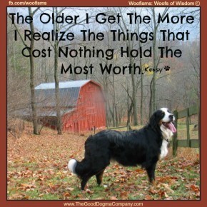worthIMG 6754 290x290 Woofisms: Woofs of Wisdom © funny dog blog