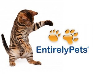 Entirely_Pets_cat