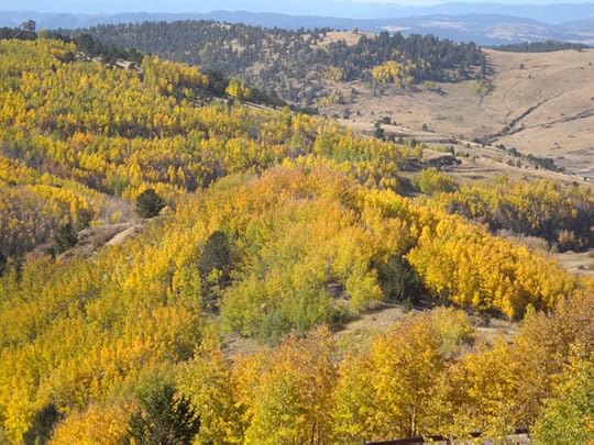 Highway 67, CO via Terry Odell